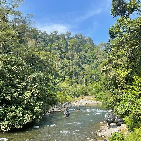 Kupu Kupu Garden Guest House & Cafe Bukit Lawang Exterior photo