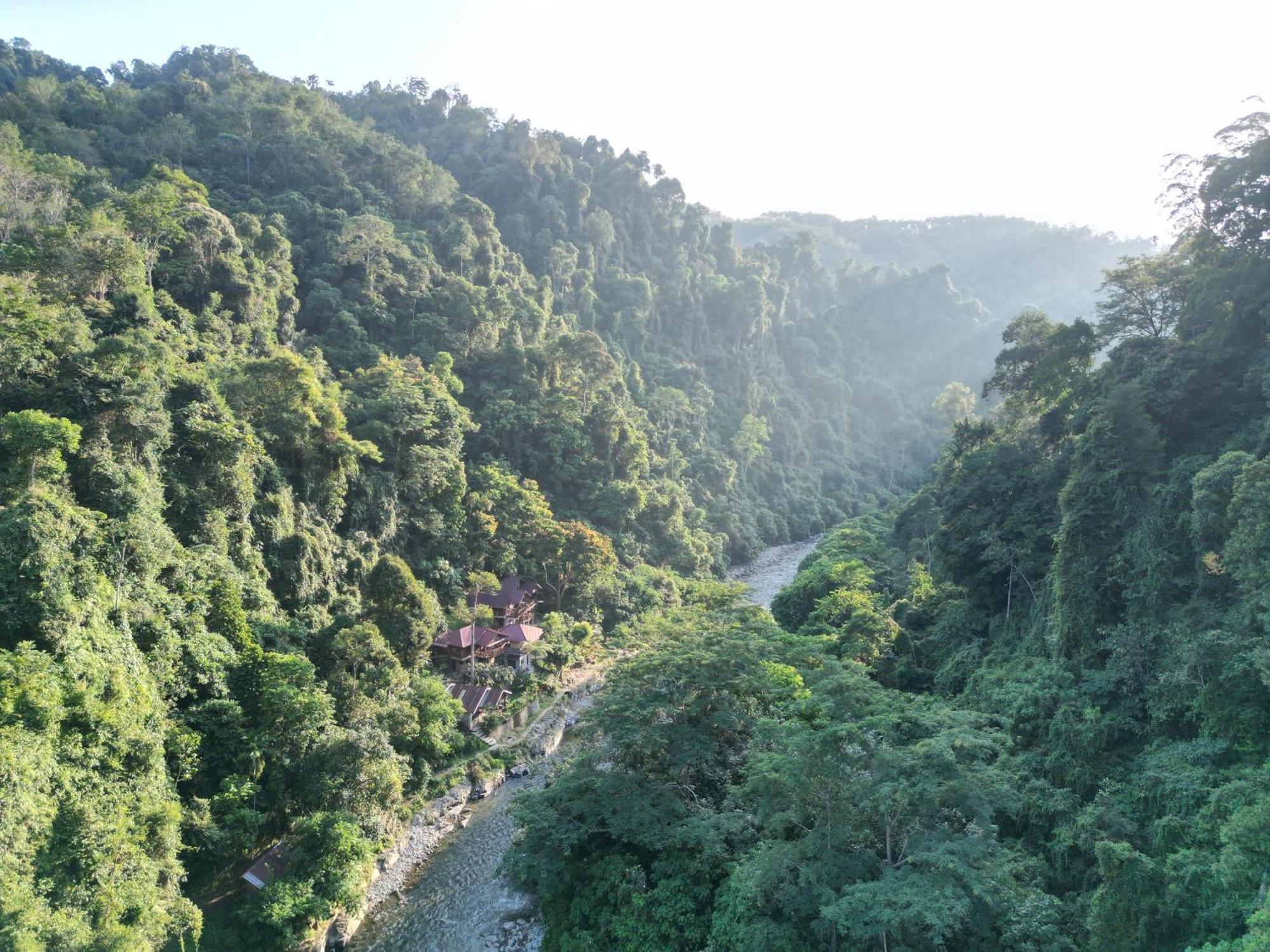 Kupu Kupu Garden Guest House & Cafe Bukit Lawang Exterior photo