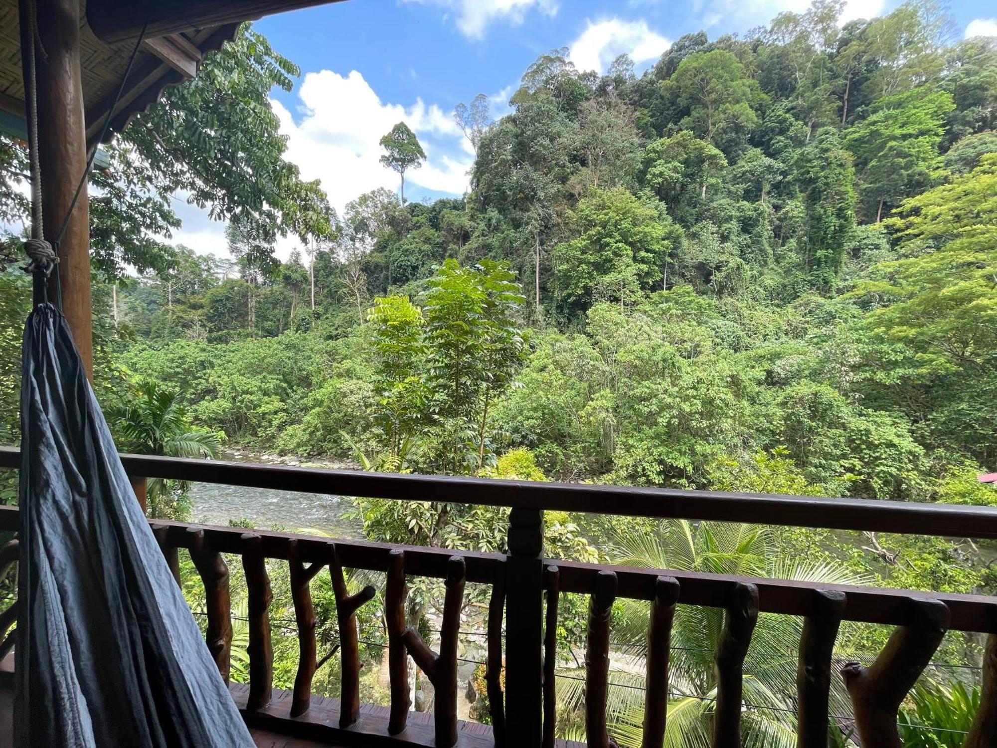 Kupu Kupu Garden Guest House & Cafe Bukit Lawang Exterior photo