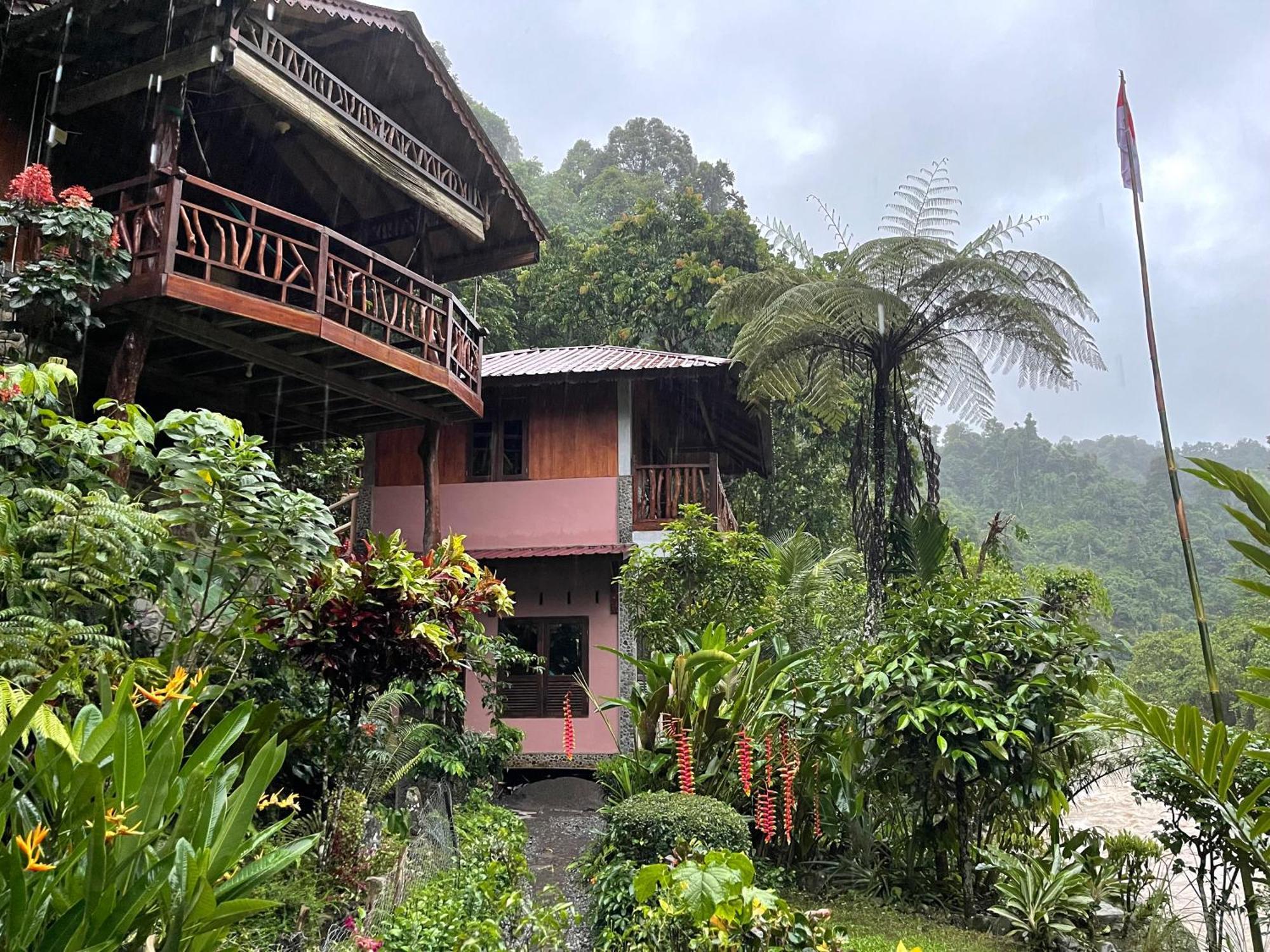 Kupu Kupu Garden Guest House & Cafe Bukit Lawang Exterior photo