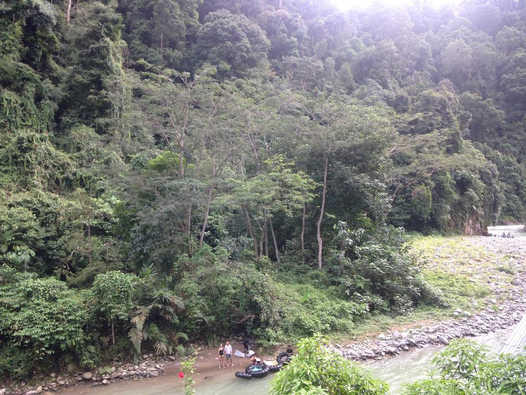 Kupu Kupu Garden Guest House & Cafe Bukit Lawang Exterior photo