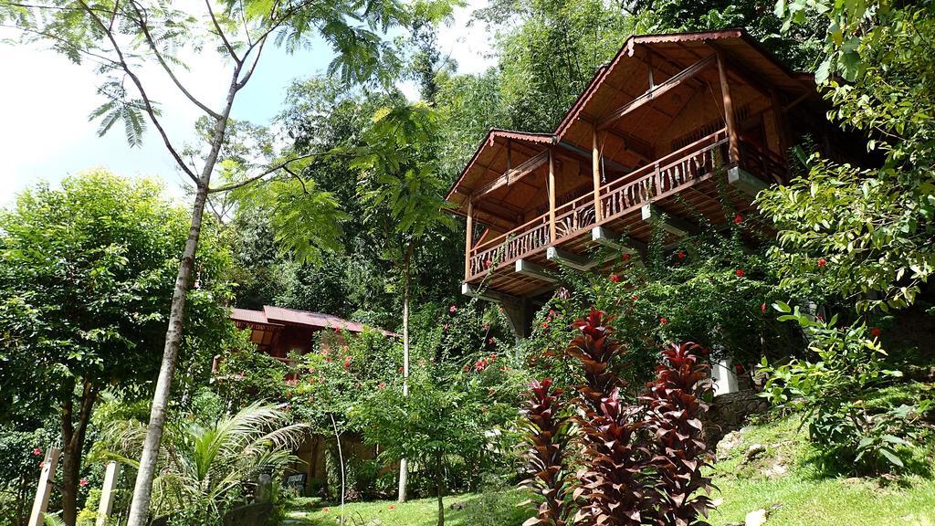 Kupu Kupu Garden Guest House & Cafe Bukit Lawang Exterior photo