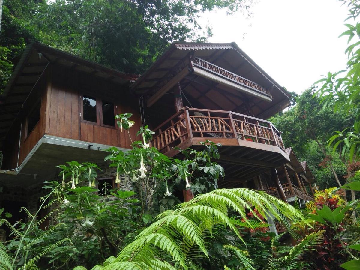 Kupu Kupu Garden Guest House & Cafe Bukit Lawang Exterior photo