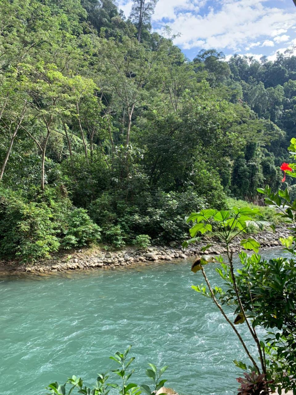 Kupu Kupu Garden Guest House & Cafe Bukit Lawang Exterior photo
