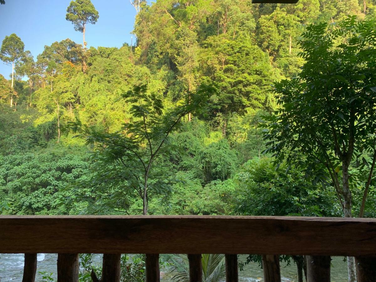 Kupu Kupu Garden Guest House & Cafe Bukit Lawang Exterior photo