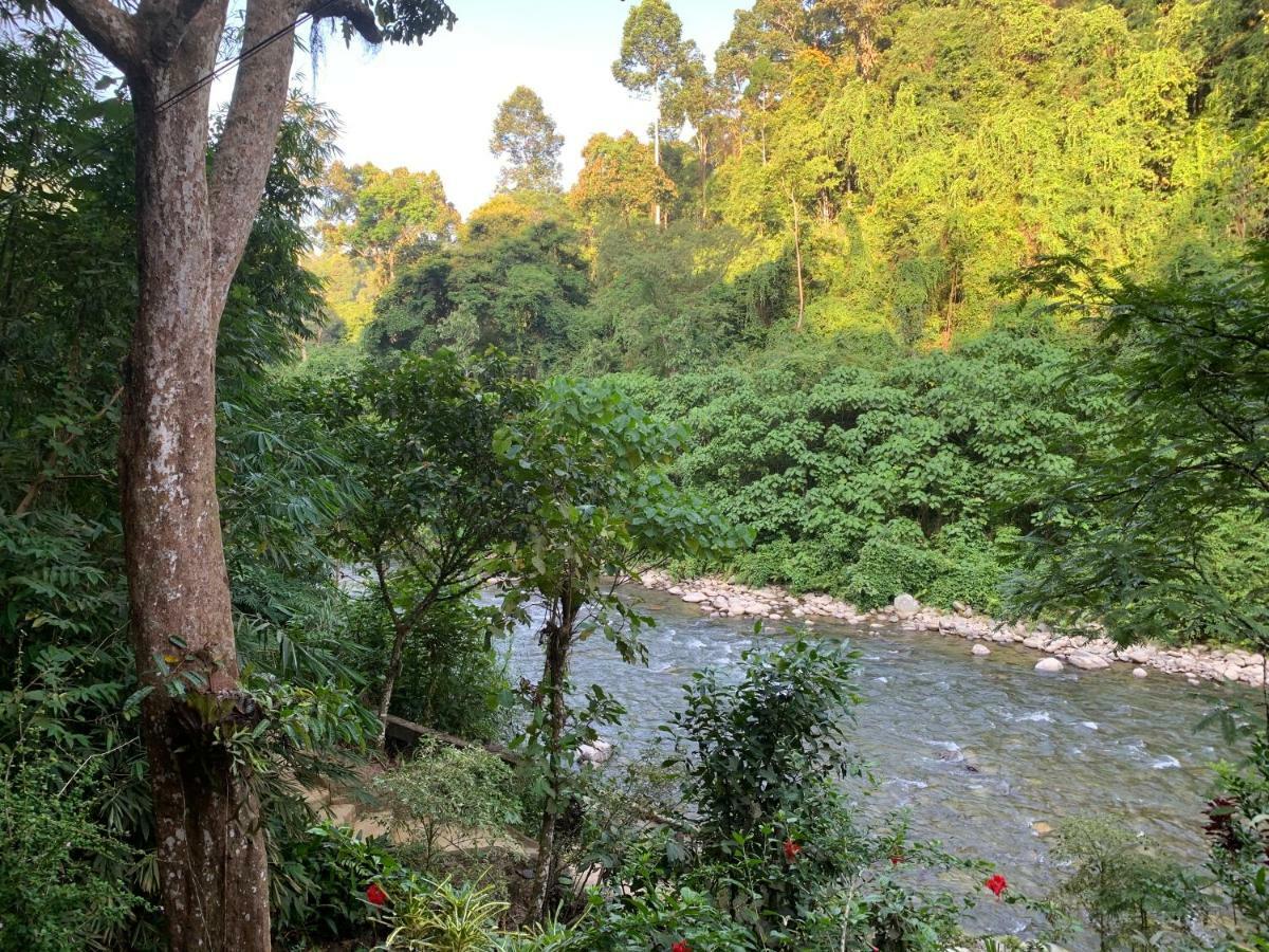 Kupu Kupu Garden Guest House & Cafe Bukit Lawang Exterior photo